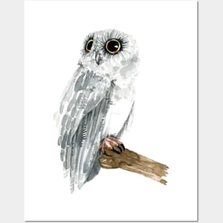 Watercolor Grey Owl Posters and Art